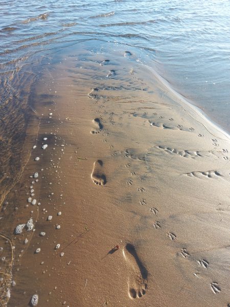 footsteps on sea ground